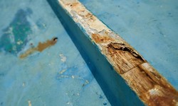 Guidelines for Repairing Termite Damage