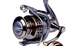 "The Top 5 Fishing Reels for Every Angler"