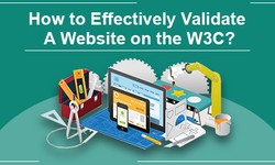 Steps to validate W3C plugins with the help of a wordpress website