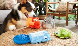 Different Types of Puppies Toys to Choose From
