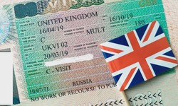 A Comprehensive Guide to Tier 5 Visa – Everything You Need to Know About the UK's Points-Based Immigration System