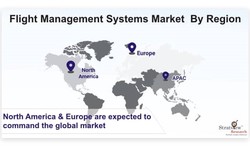 Flight Management Systems: Enhancing Efficiency and Reducing Costs in Air Transportation