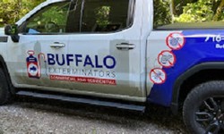 Peace of Mind: How a Buffalo Pest Control Service Can Help You Sleep Better