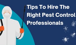 15 Tips To Hire The Right Pest Control Professionals