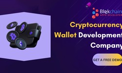Cryptocurrency Wallet Development Company - Things to know before launching your own Wallet