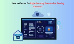 How to Choose the Right Security Penetration Testing Services?