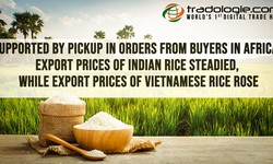Supported By Pickup In Orders From Buyers In Africa, Export Prices Of Indian Rice Steadied, While Export Prices Of Vietnamese Rice Rose