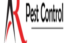 How to Protect Your Mississauga Business from Pest Infestations