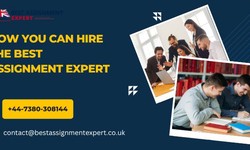 How You Can Hire The Best Assignment Expert