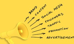 Want To Develop A Great PPC Campaign? Follow These Steps!