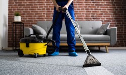 Can Carpet Cleaning Be Environmentally Friendly? Let’s Find It Out!