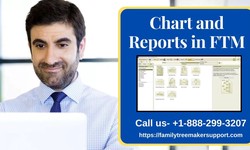 Family Tree Maker Chart And Reports in FTM