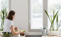 10 Simple Solutions to Cleaner Indoor Air for a Healthier Home