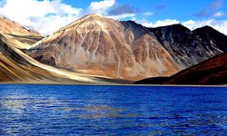 Have a Thrilling Experience While Trekking in Ladakh