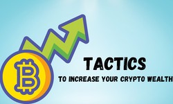 Know The 3 Thoughtful Tactics To Increase Your Crypto Wealth