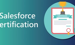 Salesforce Certification | Types of Salesforce Certifications