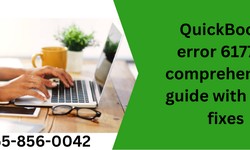 QuickBooks Error 6177: A comprehensive guide with easy fixes