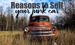 The Top 10 Reasons to Choose a Professional Junk Car Buyer