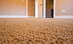 The Complete Guide for Choosing Modern Carpets & Benefits of Carpeting in Homes