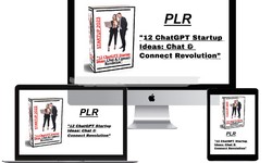 (PLR) “12 ChatGPT Startup Ideas: Chat & Connect Revolution”