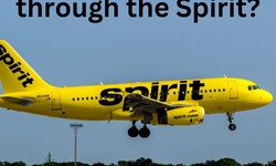 Can I cancel a flight through the Spirit?