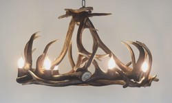 The Beauty of Antler Chandeliers: How to Incorporate Them into Your Home Decor