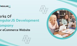 Perks Of AngularJS Development Company For eCommerce Website