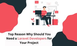 Top Reason Why Should You Need a Laravel Developers for Your Project?
