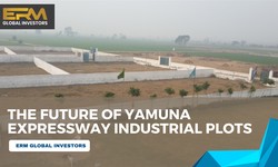 Invest in the Future: Buy Yamuna Expressway Industrial Plots Today.