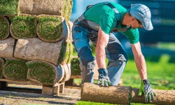 Things to Consider Before Choosing a Landscaping Contractor