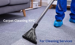 How to effectively remove dirt, stains, and mildew from outdoor carpets in NY?