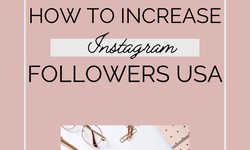 Buy USA Instagram Followers PayPal From Twicsy