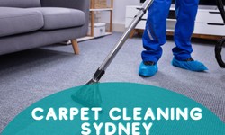 Why Professional Carpet Cleaning is Essential for a Healthy Home?