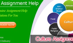 Organizational Culture Assignment Help & Writing Services in Australia