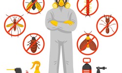 Understanding the Dangers of Pests in the Workplace and Why Commercial Pest Control is Crucial