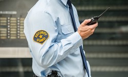 5 Reasons You Need Professional Security Guard Services