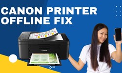 How to Fix the Canon Printer Offline Status on Windows