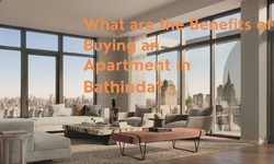 What are the Benefits of Buying an Apartment in Bathinda?