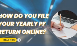 How Do You Submit Your Annual PF Return Online?