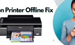 Why Does My Epson Printer Keep Going Offline? Here's How to Fix It