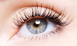 How to Get Long, Thick, and Gorgeous Eye Lashes?