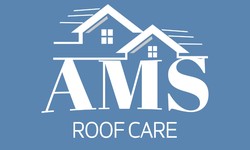 Revitalise Your Home's Exterior with Our Roof Pressure Cleaning Services