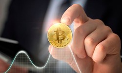 How Should Beginners Invest in Cryptocurrency 2023?