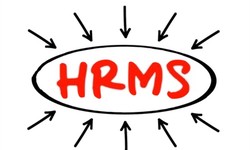 A Beginner's Guide to HRMS Payroll Software: How to Get Started