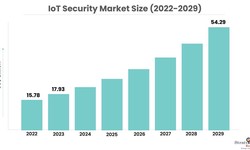Meeting the Challenge of IoT Security: Innovations and Developments
