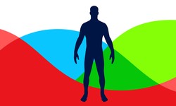 Biorhythm Calculator: How to Track Your Body's Natural Rhythms?