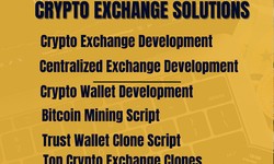 BlockchainAppsDeveloper - The All-In-One Crypto Exchange Solutions
