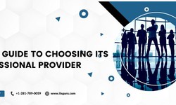 Quick Guide To Choosing ITs Professional Provider