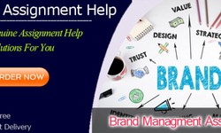 Get Best Brand management assignment by Excellent Assignment