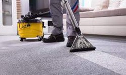 The Benefits of Professional Upholstery Cleaning Services in Sydney!